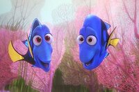 Buscando a Dory