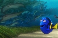 Buscando a Dory