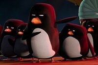 Cigüeñas: La Historia que no te contaron