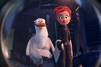 Cigüeñas: La Historia que no te contaron