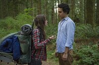 Into the Forest