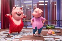 Festival Kids Illumination: Sing: Ven y Canta