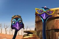 Blinky Bill the Movie