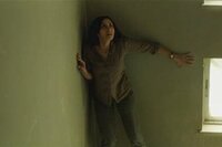 Under the Shadow