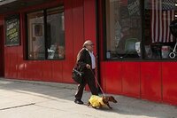 Wiener-Dog