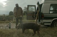 Sr. Pig