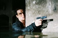 Anthropoid