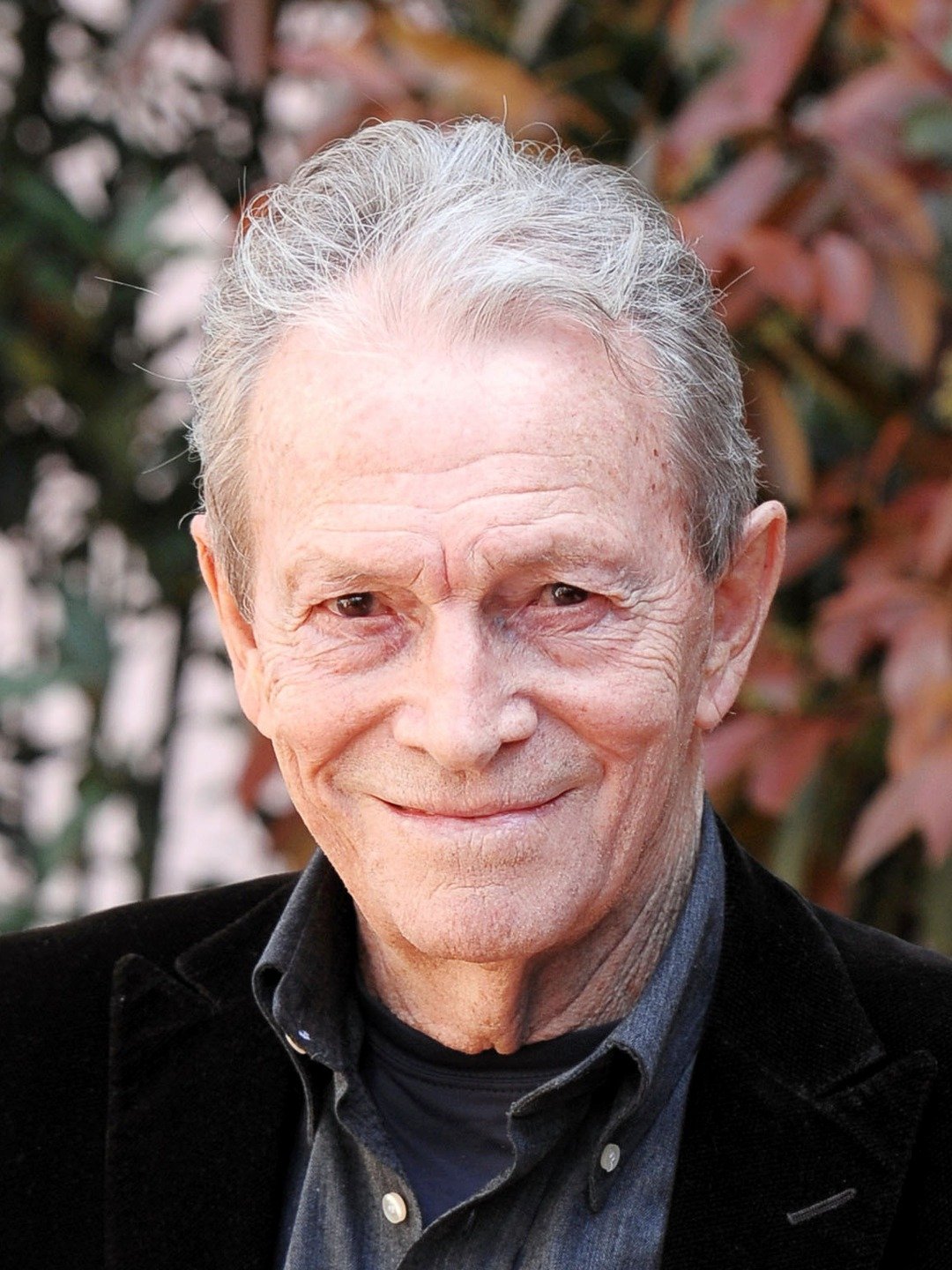 Umberto Orsini Pictures Rotten Tomatoes