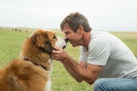 La Razón de estar Contigo