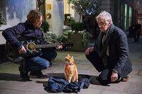 A Street Cat Named Bob