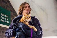 A Street Cat Named Bob