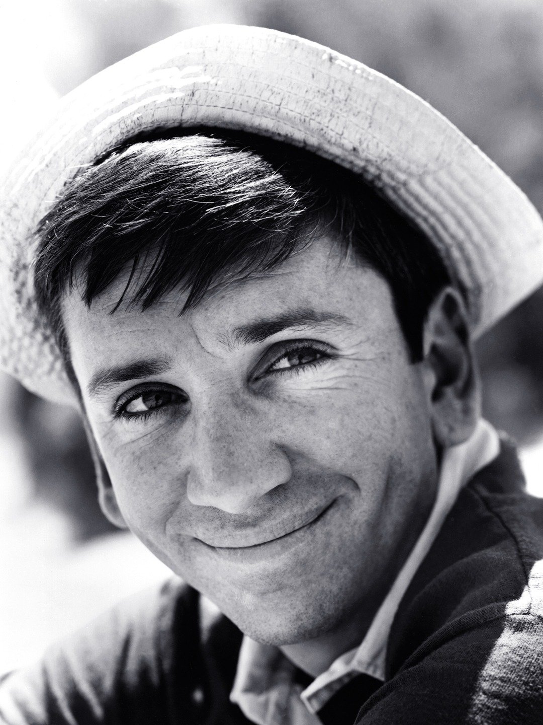 Bob Denver Pictures Rotten Tomatoes