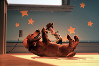 Toy Story 2