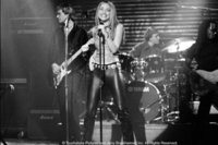 Coyote Ugly