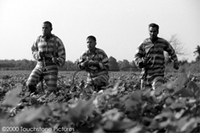 O Brother, Where Art Thou?
