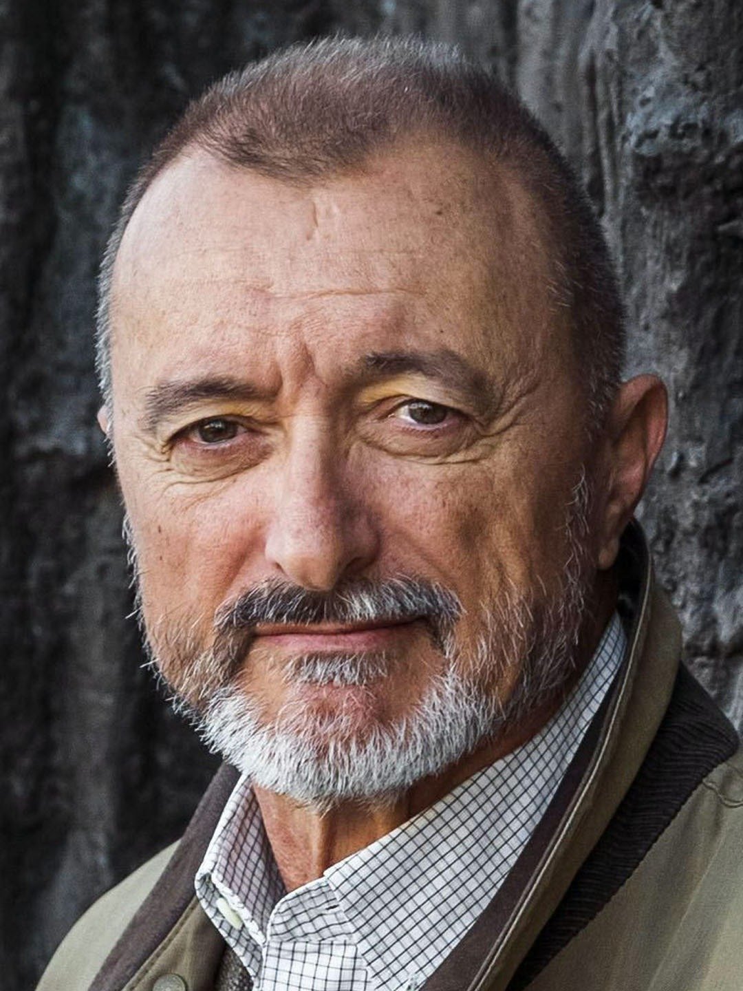 Arturo PérezReverte Pictures Rotten Tomatoes