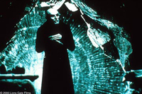 La sombra del vampiro