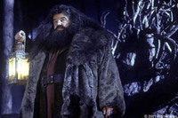 Harry Potter y la Piedra Filosofal