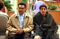 American Pie 2