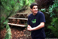 American Pie 2