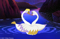 El cisne trompetista