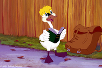 El cisne trompetista