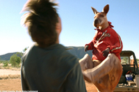 Canguro Jack