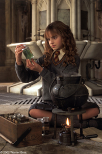 Harry Potter y la Cámara Secreta