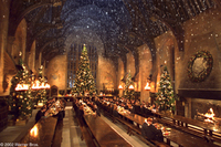 Harry Potter y la Cámara Secreta