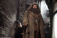 Harry Potter y la Cámara Secreta