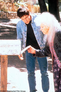 Donnie Darko