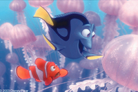 Buscando a Nemo