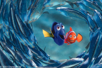 Buscando a Nemo