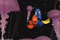 Buscando a Nemo