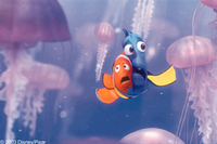 Buscando a Nemo