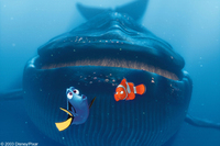 Buscando a Nemo