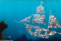 Buscando a Nemo