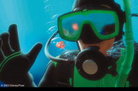 Buscando a Nemo