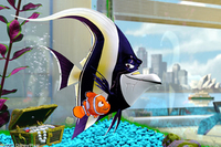 Buscando a Nemo
