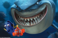 Buscando a Nemo
