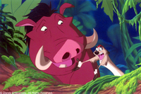 El Rey León