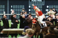 Alma de héroes: La leyenda de Seabiscuit