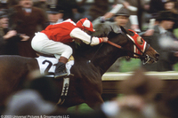 Alma de héroes: La leyenda de Seabiscuit