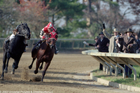 Alma de héroes: La leyenda de Seabiscuit