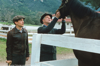 Alma de héroes: La leyenda de Seabiscuit