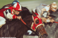 Alma de héroes: La leyenda de Seabiscuit