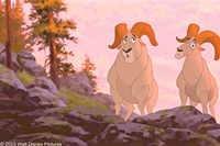 Tierra de osos