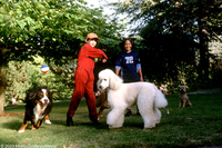Un Perro de otro Mundo