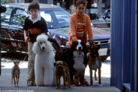 Un Perro de otro Mundo