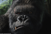King Kong